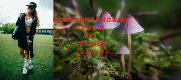 ALPHA PVP Баксан