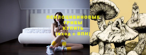 ALPHA PVP Баксан