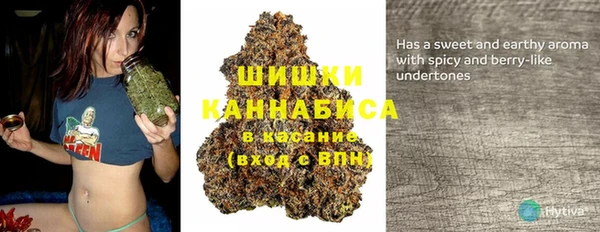ГАЛЛЮЦИНОГЕННЫЕ ГРИБЫ Балабаново